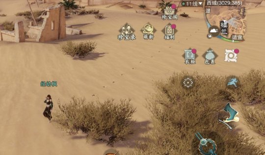 5.jpg
